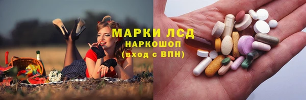 прущие крисы Аркадак