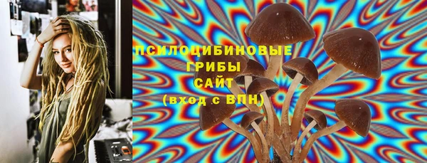 прущие крисы Аркадак