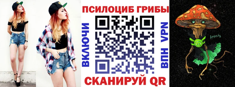 дарк нет Telegram  Медвежьегорск  Псилоцибиновые грибы MAGIC MUSHROOMS 